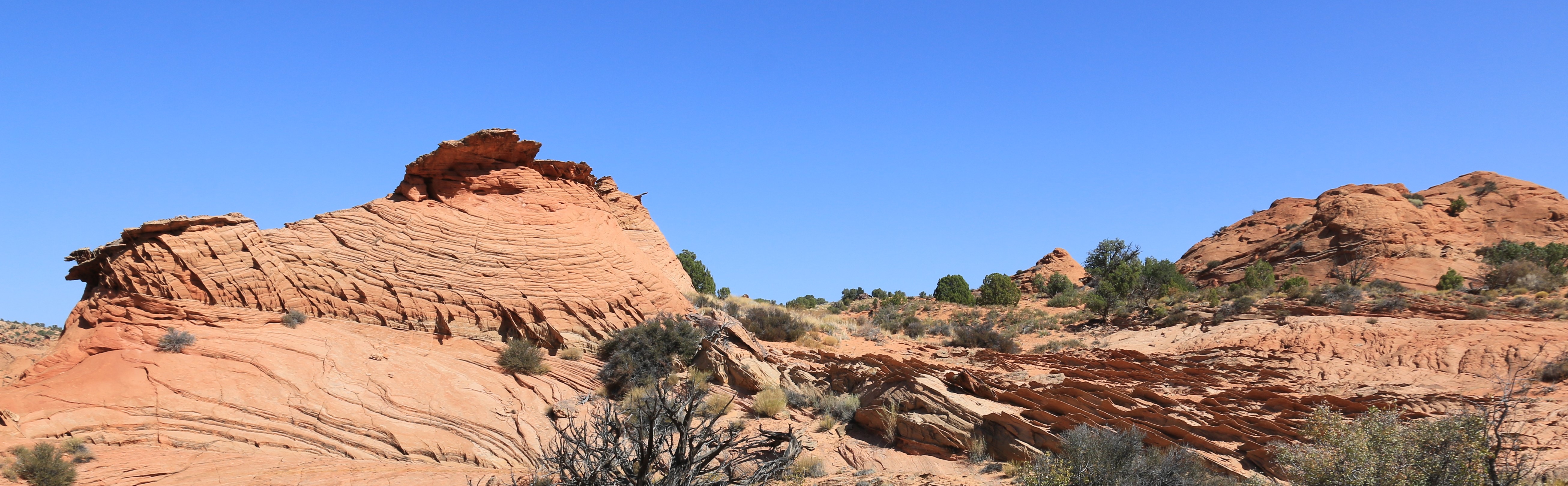 Vermillion Cliffs NM